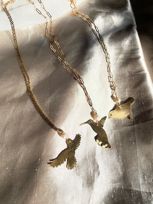 Cadena de aves endemicas