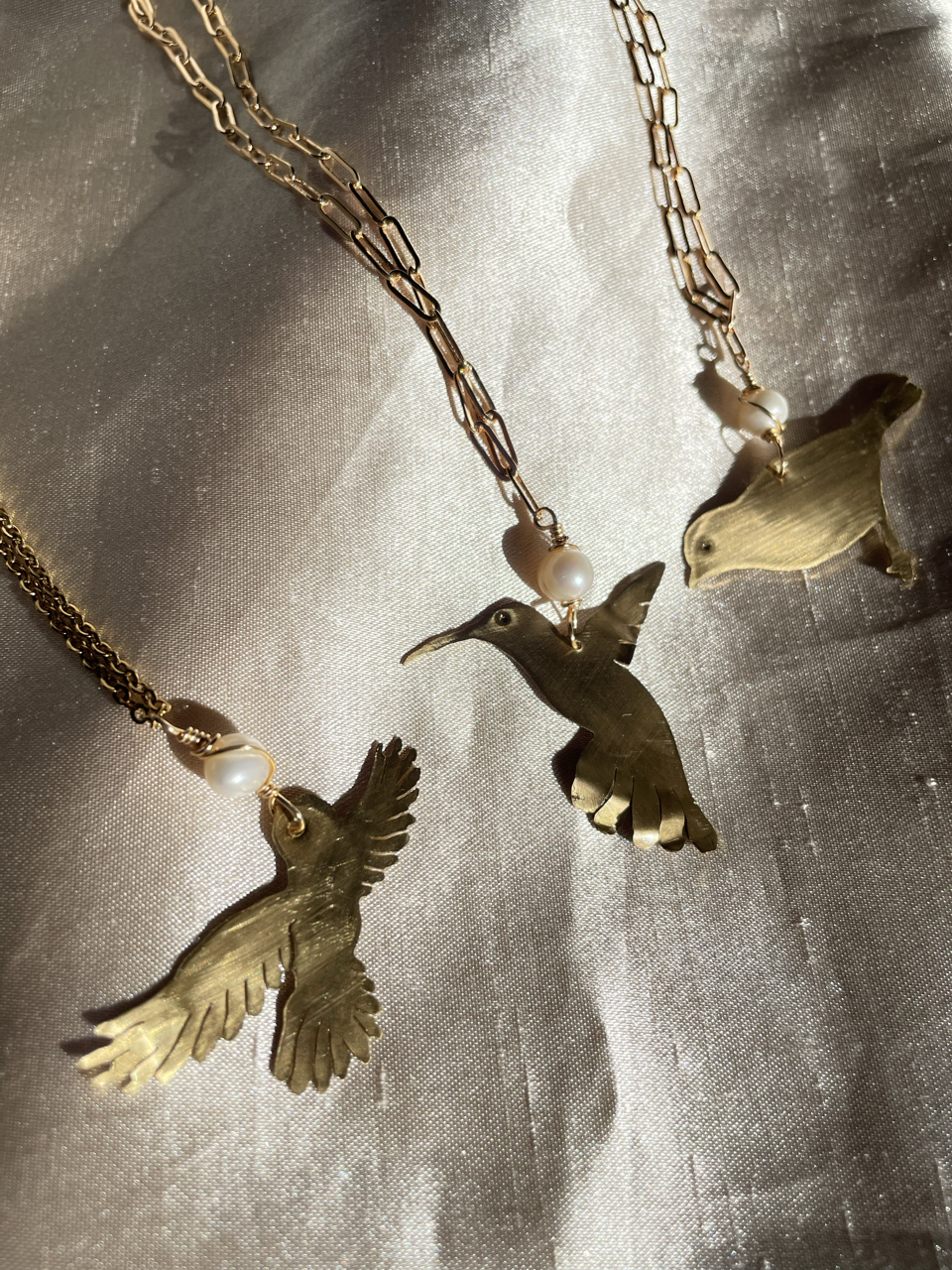 Cadena de aves endemicas
